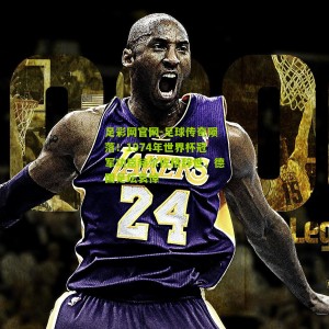 足彩网官网-足球传奇陨落！1974年世界杯冠军功臣赫尔佐格辞世，德国足坛哀悼