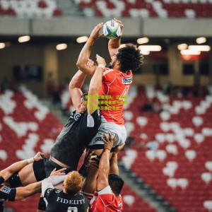 足彩网直播团队：这次是对的！阿莱格里脾气革新，引领米兰重燃生机