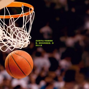 足彩网平台-丹麦联赛观察，穆科科持续低迷，泯然众人矣