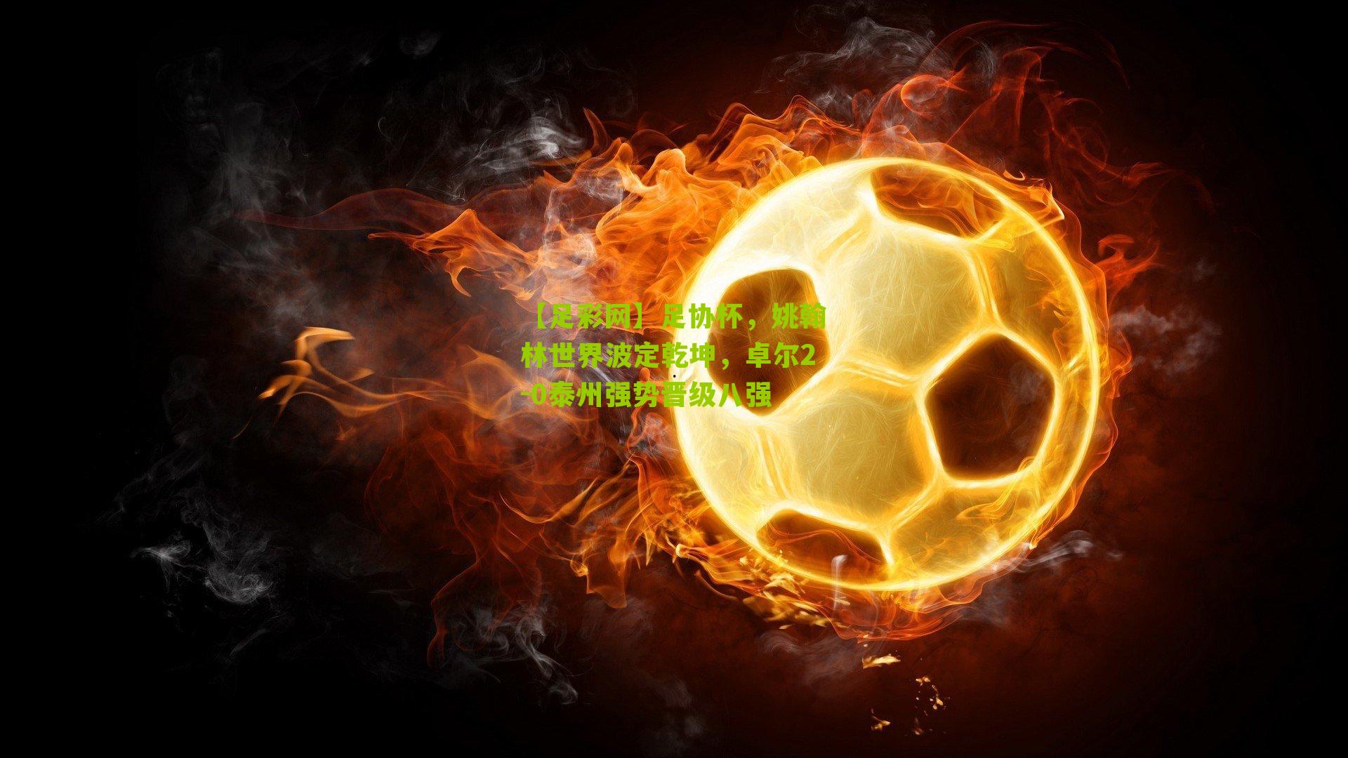 足协杯，姚翰林世界波定乾坤，卓尔2-0泰州强势晋级八强