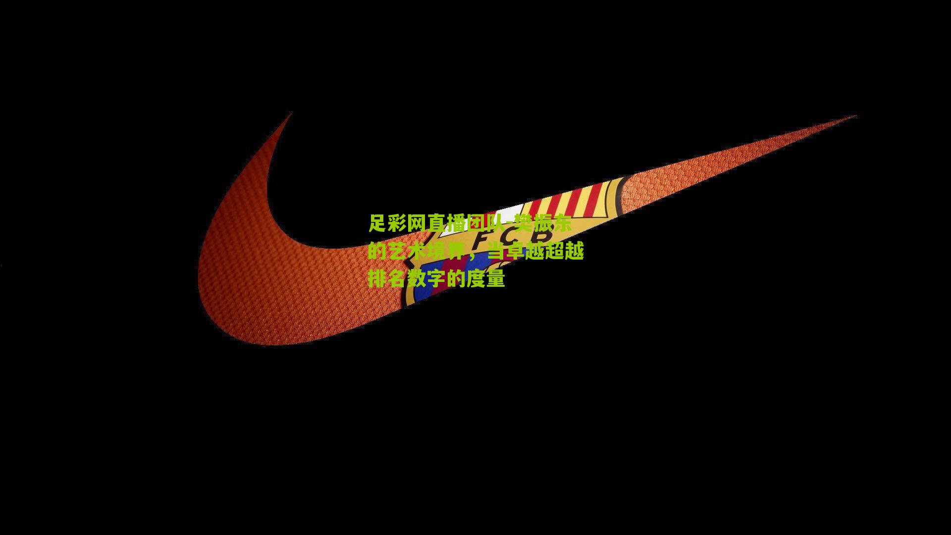 樊振东的艺术境界，当卓越超越排名数字的度量