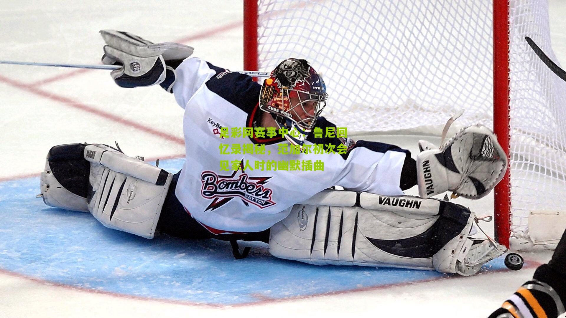 鲁尼回忆录揭秘，范加尔初次会见家人时的幽默插曲